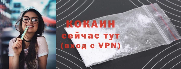 твердый Волоколамск