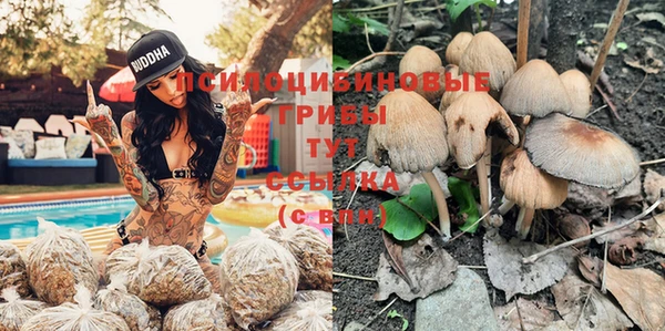 гидропоника Волосово