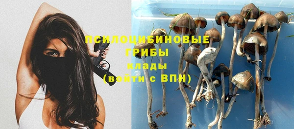 твердый Волоколамск