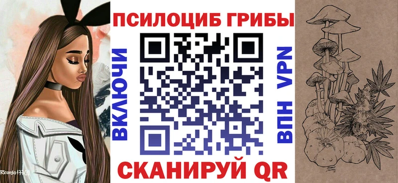 Псилоцибиновые грибы Magic Shrooms  купить наркотики цена  Вологда 